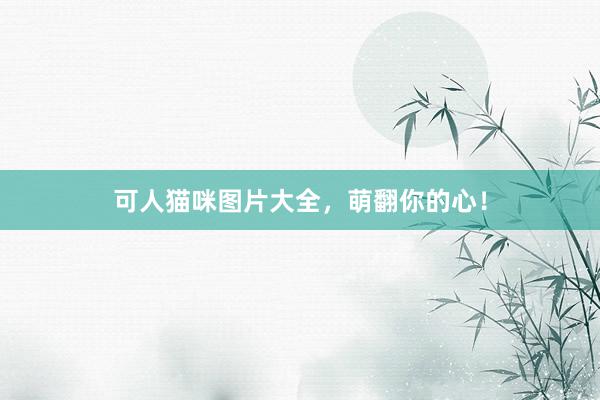 可人猫咪图片大全，萌翻你的心！
